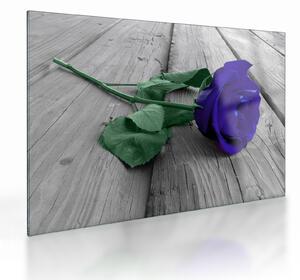 Tablou pe sticlă - Trandafir albastru cu tulpina verde (70x50 cm)