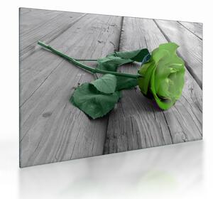 Tablou pe sticlă - Trandafir verde (70x50 cm)