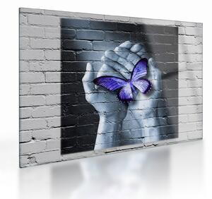 Tablou pe sticlă - Fluture violet pe perete (70x50 cm)