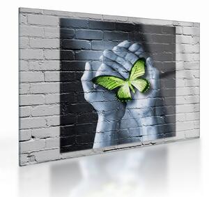 Tablou pe sticlă - Fluture verde în perete (70x50 cm)