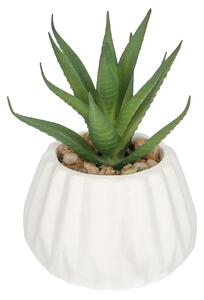 Decorațiuni Agawa 12cm