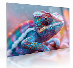 Tablou pe sticlă - Cameleon colorat (70x50 cm)