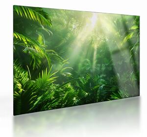 Tablou pe sticlă - Pădurea tropicală (70x50 cm)
