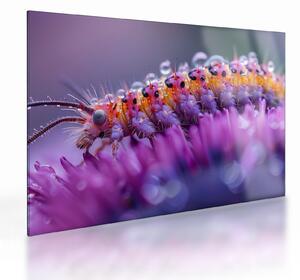 Tablou pe sticlă - Caterpillar (70x50 cm)