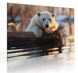 Tablou pe sticlă - Ursul polar (70x50 cm)