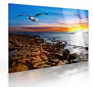 Tablou pe sticlă - Pescărușul zboară deasupra coastei (70x50 cm)