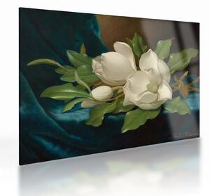 Tablou pe sticlă - Martin Johnson Heade, Giant Magnolias on a Blue Velvet Cloth, reproducere (70x50 cm)