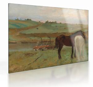 Tablou pe sticlă - Edgar Degas, Horses in a Meadow, reproducere (70x50 cm)