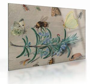 Tablou pe sticlă - Jan van Kessel the Elder, Insects and a Sprig of Rosemary, reproducere (70x50 cm)
