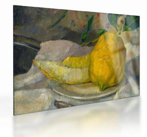 Tablou pe sticlă - French 19th Century, Melon and Lemon, reproducere (70x50 cm)