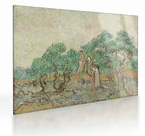 Tablou pe sticlă - Vincent van Gogh, The Olive Orchard, reproducere (70x50 cm)
