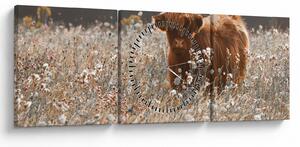 Tablou - Vacă scoțiană (cu ceas) (90x30 cm)