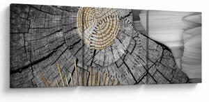 Tablou - Trunchiul copacului colaj (cu ceas) (90x30 cm)