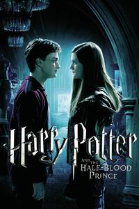 Poster de artă Harry Potter and The Half-Blood Prince - Ginny's Kiss, (26.7 x 40 cm)