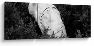 Tablou - Păun,alb-negru (cu ceas) (90x30 cm)