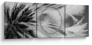 Tablou - Macro,alb-negru (cu ceas) (90x30 cm)