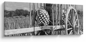 Tablou - Remorcă,alb-negru (cu ceas) (90x30 cm)