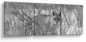Tablou - Vulpe,alb-negru (cu ceas) (90x30 cm)