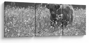 Tablou - Vacă scoțiană 5,alb-negru (cu ceas) (90x30 cm)