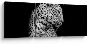 Tablou - Leopardul (cu ceas) (90x30 cm)