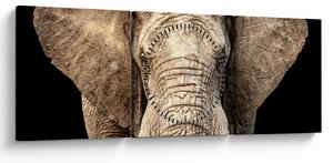 Tablou - Elefant african (cu ceas) (90x30 cm)