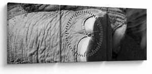 Tablou - Picior de elefant (cu ceas) (90x30 cm)