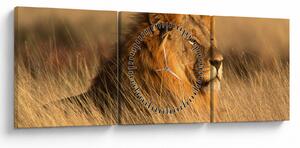 Tablou - Parcul Național Etosha (cu ceas) (90x30 cm)