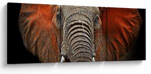 Tablou - Elefanți cu Tsavo (cu ceas) (90x30 cm)