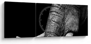 Tablou - Colți de elefant (cu ceas) (90x30 cm)