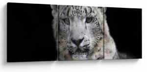 Tablou - Snow Leopard (cu ceas) (90x30 cm)