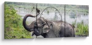 Tablou - Elefant de scăldat (cu ceas) (90x30 cm)