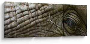 Tablou - Prim-planul ochiului de elefant vechi (cu ceas) (90x30 cm)
