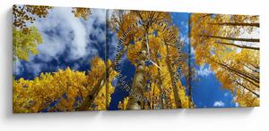 Tablou - Aspen (cu ceas) (90x30 cm)