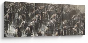 Tablou - Turmă de antilope sălbatice (cu ceas) (90x30 cm)