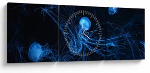 Tablou - Meduză (cu ceas) (90x30 cm)
