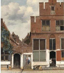 Fototapet vlies Special Decoration Vermeer Străduța 243x280 cm
