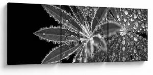 Tablou - Picături (cu ceas) (90x30 cm)
