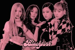 Poster BlackPink - Group Pink, (91.5 x 61 cm)