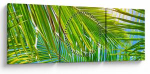 Tablou - Frunze de palmier (cu ceas) (90x30 cm)