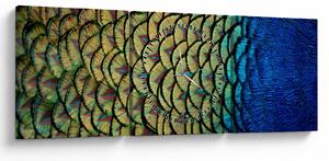Tablou - Pene de păun (cu ceas) (90x30 cm)