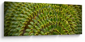 Tablou - Fern (cu ceas) (90x30 cm)