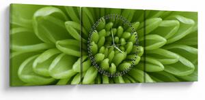 Tablou - Imagine macro a unei plante (cu ceas) (90x30 cm)
