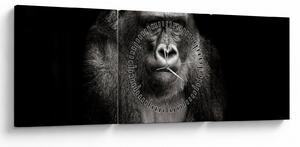 Tablou - Gorila (cu ceas) (90x30 cm)
