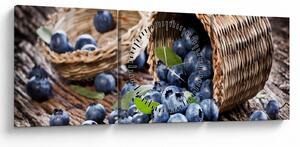 Tablou - Afine suculente (cu ceas) (90x30 cm)