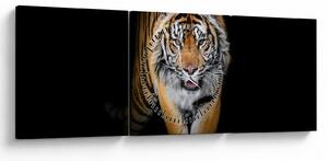 Tablou - Tiger (cu ceas) (90x30 cm)