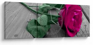 Tablou - Trandafir roz cu tulpina verde (cu ceas) (90x30 cm)