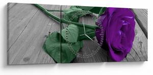 Tablou - Trandafir violet cu tulpina verde (cu ceas) (90x30 cm)