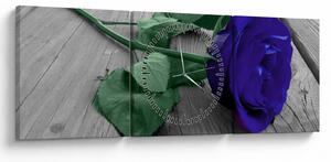 Tablou - Trandafir albastru cu tulpina verde (cu ceas) (90x30 cm)