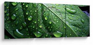 Tablou - Detaliu de frunze după ploaie (cu ceas) (90x30 cm)