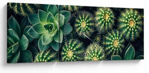 Tablou - Cactuși (cu ceas) (90x30 cm)
